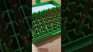 ready loaded 65x55 Lapua Brass Cases for M96 Swedish Mauser OAL 80mm 136gr Lapua Scenar L Bullet [upl. by Orlov604]