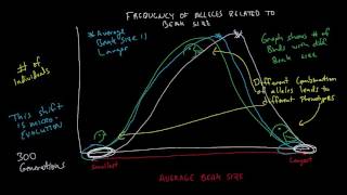 Microevolution and Macroevolution [upl. by Allsun]