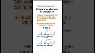 Coagulative changes in pregnancy [upl. by Anigroeg]