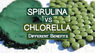 Spirulina VS Chlorella Which One Should You Take [upl. by Colon]