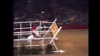 World Record Horse High Jump 2 32 meters [upl. by Dyob]