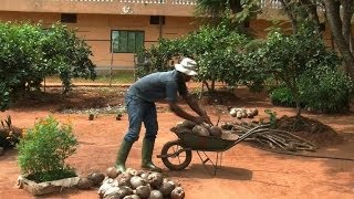 Au Bénin une ferme bio comme modèle pour lAfrique [upl. by Susanetta]