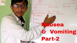 Nausea and Vomiting Part 2  Location of CTZ and Vomiting center [upl. by Ihcalam]