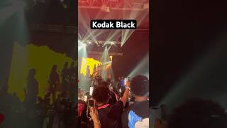 🎤 Kodak Black ❤️❤️❤️ kodakblack kodak kodakblacktypebeat concert [upl. by Eudoxia75]