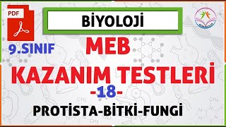 9 sınıf MEB Biyoloji kazanım kavrama testleri18  ProtistaBitkiFungi [upl. by Lebna]