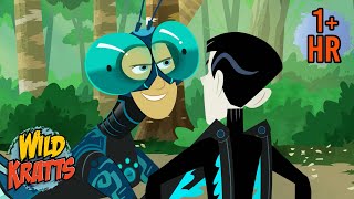 Every Creature Rescue Season 4  Protecting The Earths Wildlife  New Compilation  Wild Kratts [upl. by Lazor]