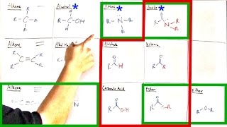 BEST WAY TO MEMORIZE Functional Groups With BONUS Lesson At End [upl. by Charil]