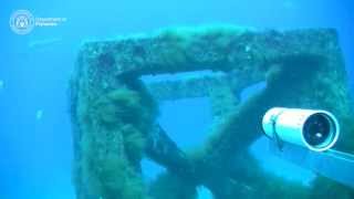 Underwater video of Dunsborough artificial reef [upl. by Gerg529]