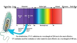 Understanding Ultraviolet UV Radiation and its Effects [upl. by Danieu28]