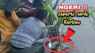 Ngeri‼️ Pertarungan melawan ikan monster  Mancing di spot ini harus punya tenaga cadangan [upl. by Aryad335]