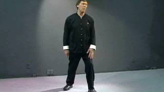 The Inner Journey of Tai Chi Chuan Lesson 1 [upl. by Heer]