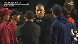 Umpire Hit in the Head and Leaves Game [upl. by Gen]