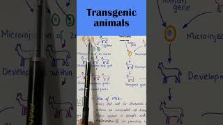 Transgenic animals shortvideo [upl. by Leesen]