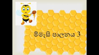 මිමැසි පාලනය 3 මිමැසි ජනපදයක් නඩත්තුව🌻🐝🐝0112947036 Bee keeping sri lanka mimasi palanaya [upl. by Dahraf148]