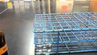 Lab Protocol  Starch Detection Assay Unit 4 Macromolecules [upl. by Tommy139]