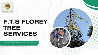 F T S Florey Tree Services  Tree Removal Florey Canberra ACT  Local Tree Services [upl. by Sugirdor]