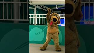 Meet Wags The Dog From The Wiggles  Dreamworld  The Wiggles Meet amp Greet  dreamworldau [upl. by Lladnek]