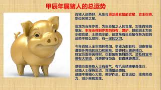 2024 甲辰年 了解今年 【老师说 肖猪 属猪 PIG in the year of Dragon 运程猪 [upl. by Anert6]