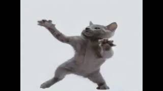 GATO BAILANDO POR UNA HORA 🐱 [upl. by Einnor]