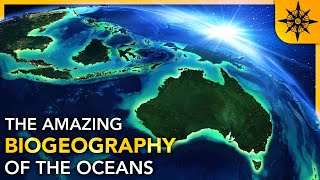 The Biogeography of the Oceans [upl. by Attaynek]