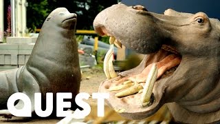 Haggling For A Giant Hippopotamus  Salvage Hunters Season 9 [upl. by Oyr162]