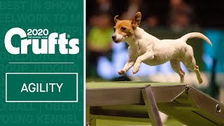 Agility  Crufts Team Small Final  Part One  Crufts 2020 [upl. by Eikcin312]