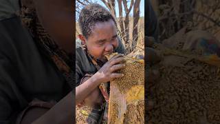 Its Lunch time See How hadzabe cooks Raw meat today hadzabetribe villagelife food [upl. by Aceissej173]