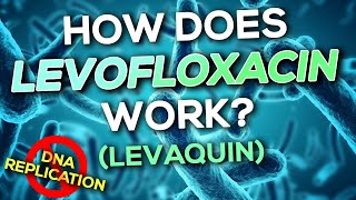 Levofloxacin Levaquin Nursing Drug Card Simplified  Pharmacology [upl. by Shih332]