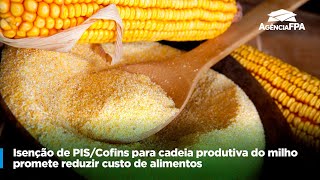 ISENÇÃO DE PISCOFINS PARA CADEIA PRODUTIVA DO MILHO PROMETE REDUZIR CUSTO DE ALIMENTOS [upl. by Ullyot]