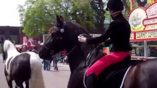 Jubilee Bridles at the Minnesota Horse Expo riding in bitless bridle [upl. by Ylnevaeh230]