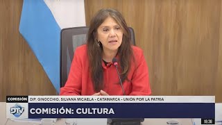 COMISIÓN COMPLETA CULTURA  19 de noviembre de 2024  TEMAS VARIOS  Diputados Argentina [upl. by Kindig381]