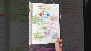 Acidsbases and Salts Formation and types Chemistry Class 10 [upl. by Evot]