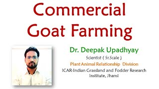 Commercial Goat farming Sheepfarming Goatfarming Sathyazerograzing [upl. by Notlim395]