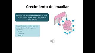 Crecimiento y desarrollo craneofacial [upl. by Noled]