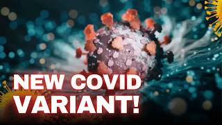 Doctors Warn New Covid XEC Variant is More Contagious Than Ever [upl. by Kinsler]