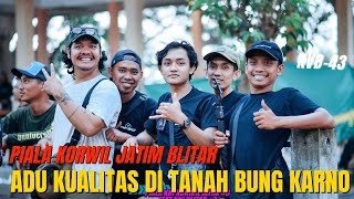 PERTEMPURAN KONIN DI JAWA TIMUR PIALA KORWIL JATIM❗️kicauvlogbali dewatasamudra omahkonin [upl. by Giarg234]