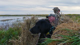 Nebraska Waterfowl Rezoning [upl. by Lehsar]