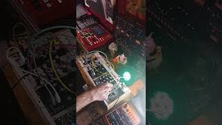 PLUCK MIASMA PLONK CLOUDS idm improvisation eurorack ambient Minimal experimental melodic [upl. by Primrosa]