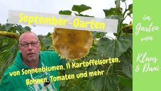 SeptemberGarten  großer Gartenrundgang und die Kartoffelernte aus dem 14SortenBeet [upl. by Alra]