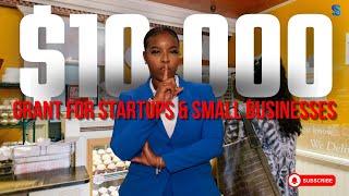 Apply now GRANTS for Small Businesses and Startups [upl. by Ydasahc202]