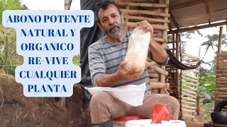 ABONO Potente Natural y Orgánico  Revive cualquier planta [upl. by Ainatnas]