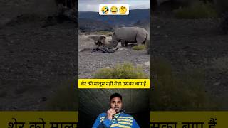 शेर को मालूम नहीं गैंडा उसका बाप हैं 🤔✅ shorts lion rhinoceros animal animalshorts [upl. by Tavi434]