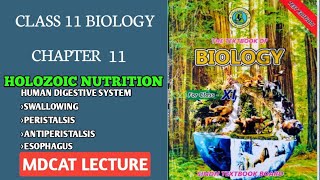 SWALLOWING  PERISTALSIS AND ANTI PERISTALSIS  ESOPHAGUS  DIGESTION IN MAN 11 NEW BIOLOGY STB [upl. by Kane]