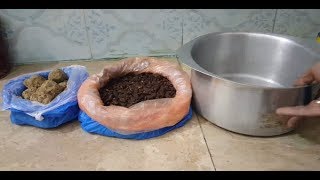 How to Make Mahua For Fishing مہوا بنانے کا طریقہ [upl. by Tempest797]