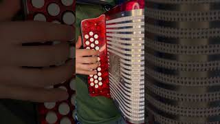 pirulino acordeon estilo pedroelescamoso music hohner [upl. by Eita]