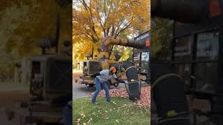 Fall clean up leaf lawncare season november fall machinery [upl. by Lucien]