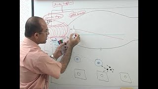 Inflammation  Vascular Events  Immunology  Dr Najeeb [upl. by Maleen]