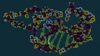 What is Protein Denaturation  Food Science [upl. by Reklaw]