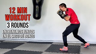 12 Min Workout Entrenemos Juntos en el SACO de BOXEO [upl. by Braden544]