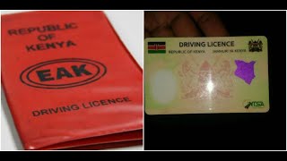 The Complete Guide to Getting a Driving License in Kenya  StepbyStep Video  King Kariuki [upl. by Anoik]